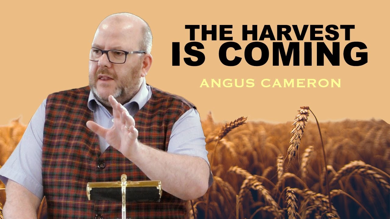 The Harvest Is Coming – Angus Cameron